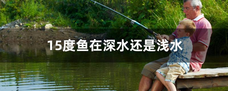 15度鱼在深水还是浅水