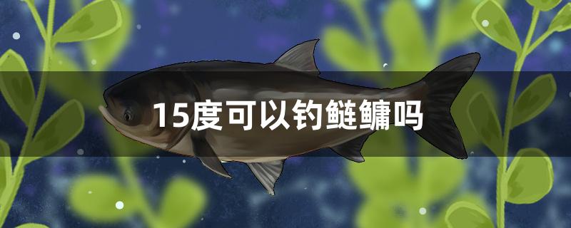 15度可以釣鰱鳙嗎 廣州觀賞魚魚苗批發(fā)市場