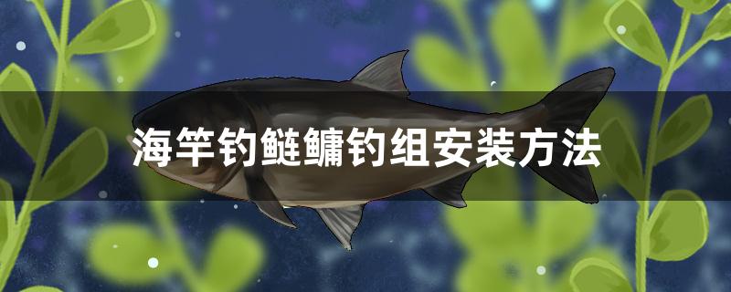 海竿钓鲢鳙钓组安装方法 蝴蝶鲤