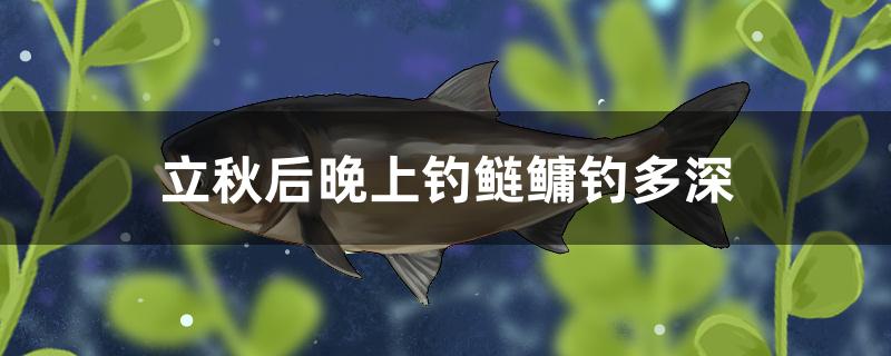 立秋后晚上釣鰱鳙釣多深 垂釣樂(lè)園