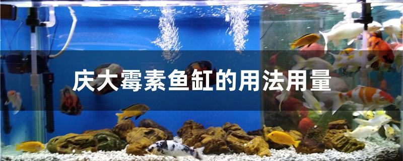 庆大霉素鱼缸的用法用量