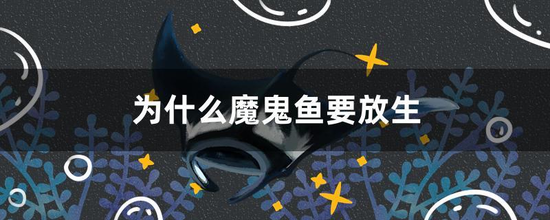 为什么魔鬼鱼要放生
