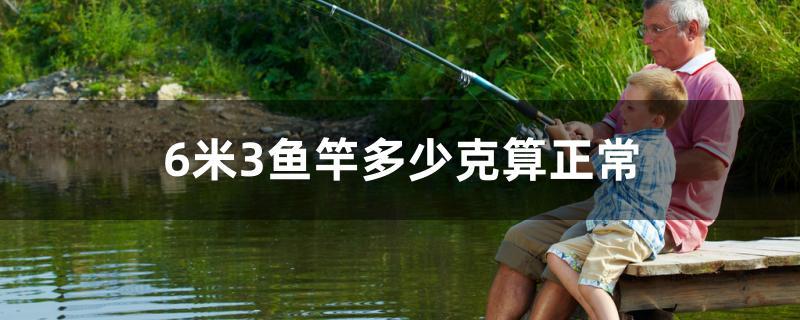 6米3鱼竿多少克算正常
