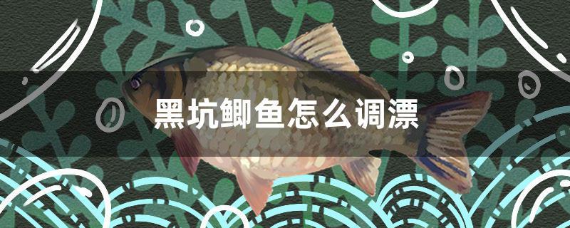 黑坑鯽魚怎么調漂