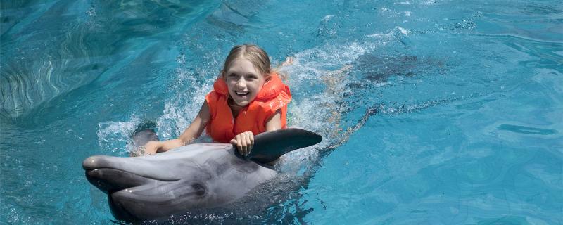 Is it true that dolphins save people? Why do they save people