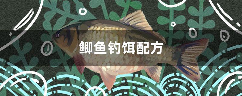 鯽魚釣餌配方 古典過(guò)背金龍魚