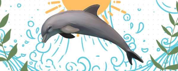 海豚是动物类吗，和鱼类有什么区别