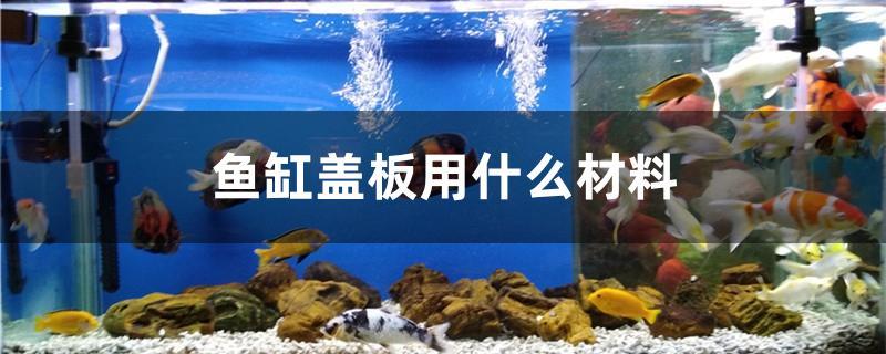 魚缸蓋板用什么材料 照明器材