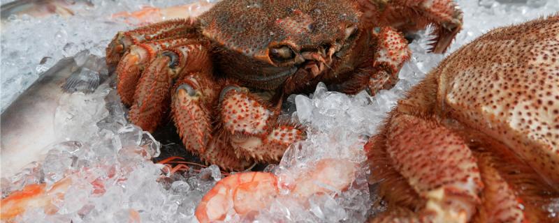 辣椒蟹长期水底会死吗