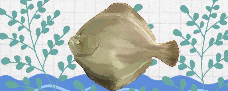 比目鱼并不是刚出生就这样,它们的眼睛在刚出生的时候和其它的鱼类一